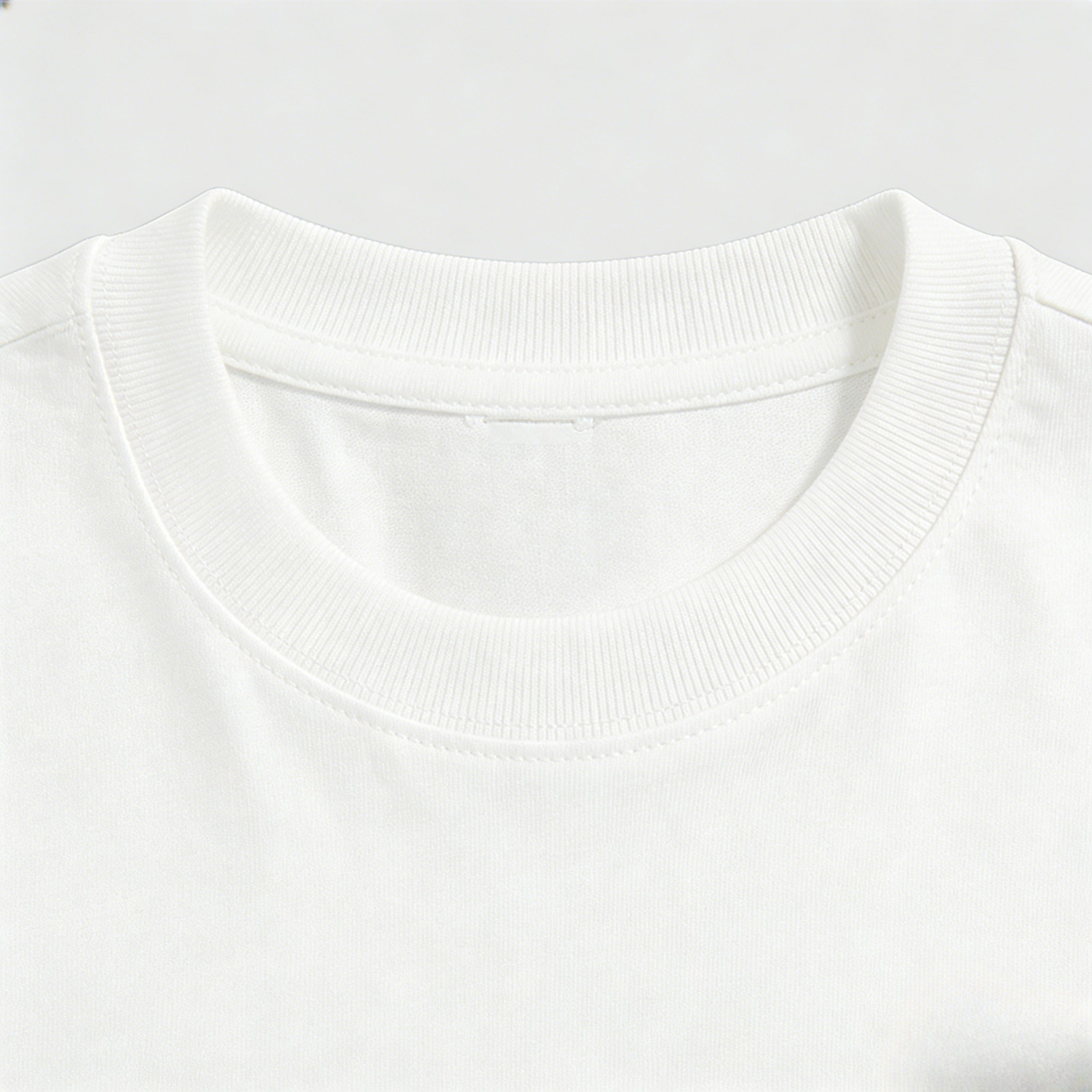 Pigeon Graphic Oversize Tee